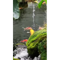 风景1208