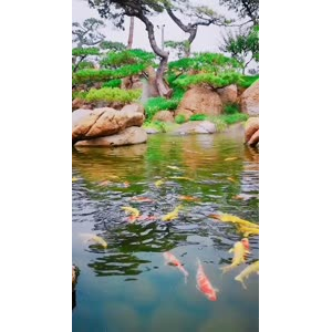 风景1219