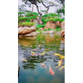 风景1219