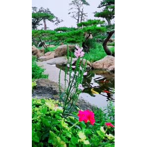 风景1220