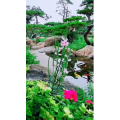 风景1220