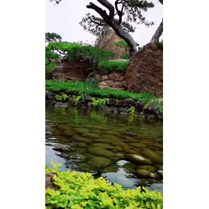 风景1225