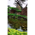 风景1225