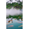 风景1241