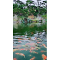 风景1242