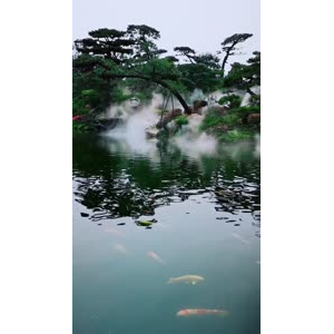风景1243