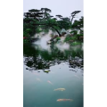 风景1243