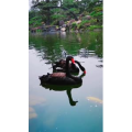 风景1246