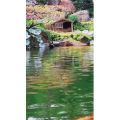 风景1248