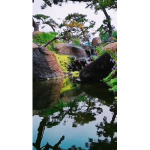 风景1249