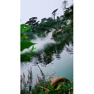 风景1250