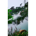 风景1250