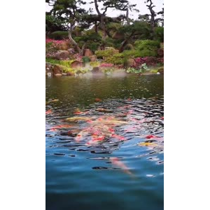 风景1261