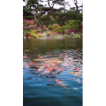 风景1261