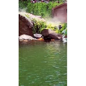 风景1262