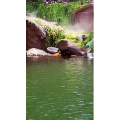 风景1262
