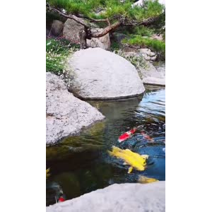 风景1263