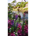 风景1266