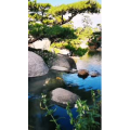 风景1268