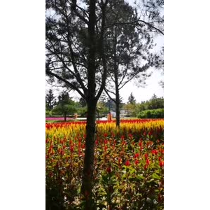 风景1277