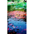 风景1283