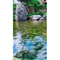 风景1287