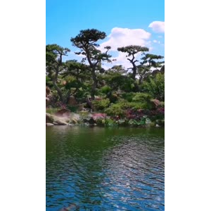 风景1290
