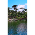 风景1290