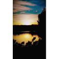 风景1294
