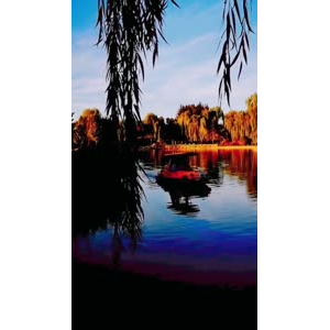 风景1298