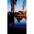 风景1298