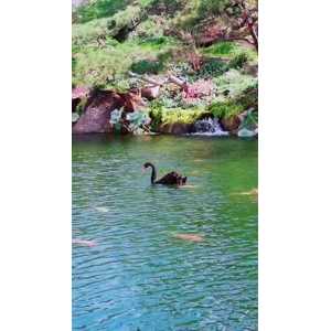风景1302