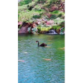 风景1302