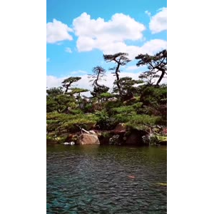 风景1304