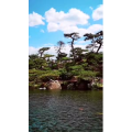 风景1304
