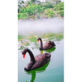 风景1307