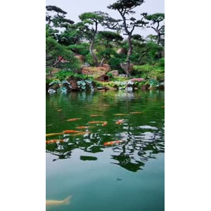 风景1309