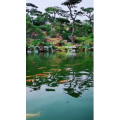 风景1309