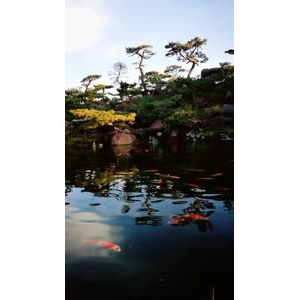 风景1317