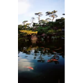 风景1317