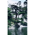 风景1319