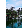 风景1329