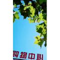 风景1337