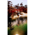 风景1371