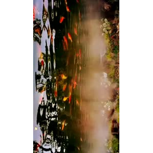 风景1375
