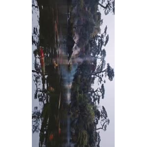 风景1376