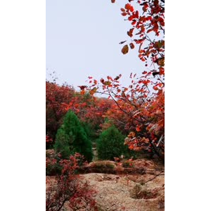 风景1380