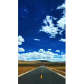 风景1388
