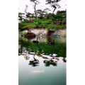 风景1391