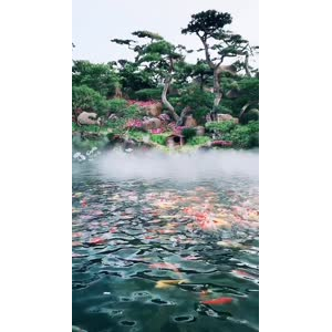 风景1395
